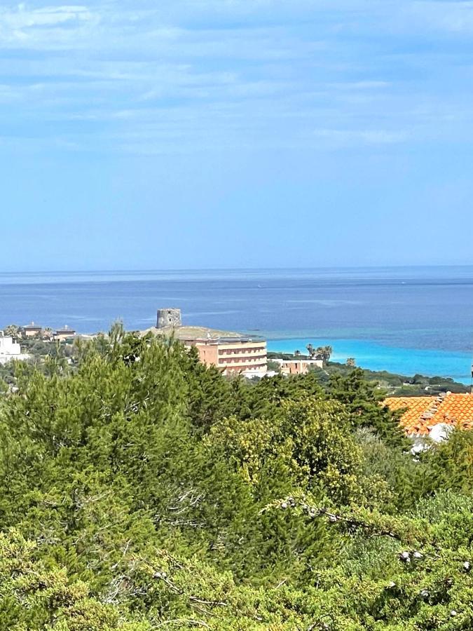 Casa Vacanze Stintino Vista Mare Exterior photo